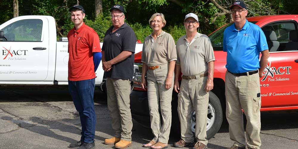 terminex pest control terminex pest control